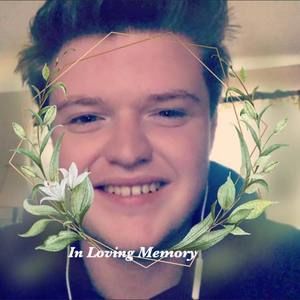 Meet your Posher, Dillon